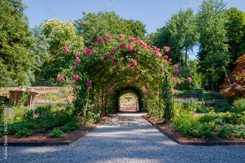 Fototapeta Naklejka Na Ścianę i Meble -  Formal rose garden with arching trellises