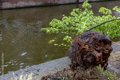 Poly summer storm hit Amsterdam with cloudy day and raining, The tree fall or broken in the water, Hard wind blew down the trees and crushed down in the canal, Noord Holland, Netherlands. photo