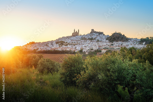 Olvera Skyline at sunset with Olive Trees - Olvera, Andalusia, Spain
