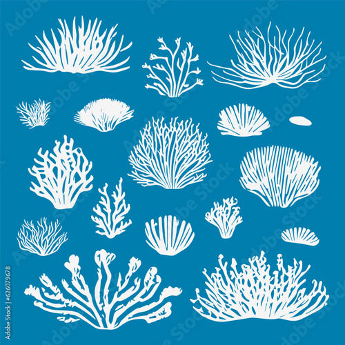 Set of monochrome vector silhouettes of seaweed of different shapes, highlighted on a blue background Underwater flora, marine plants. Linear clipart. Vintage marine plants