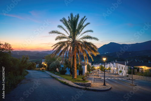 Palm Tree on a street at sunset with Mountains - Zahara de la Sierra, Andalusia, Spain © diegograndi