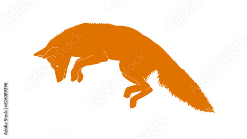 Hunting fox photo