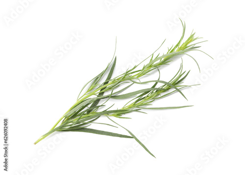 One sprig of fresh tarragon on white background  top view