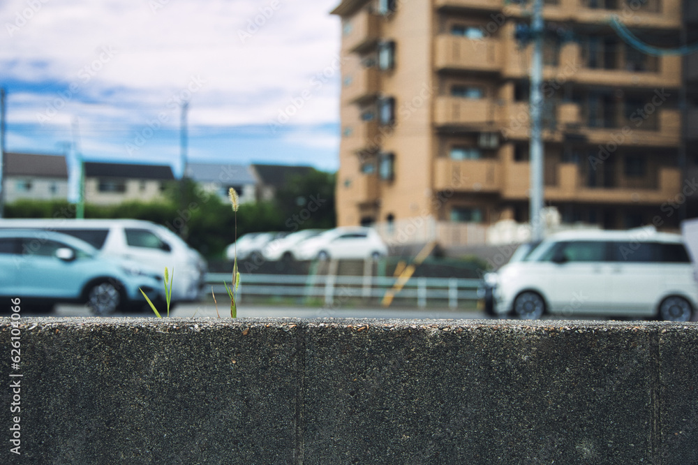 Fototapeta premium 駐車場