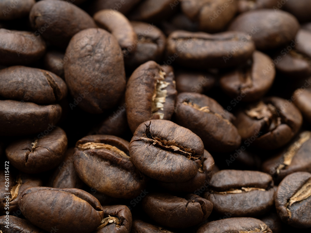 焙煎したコーヒー豆 マンデリン 焙煎したコーヒー豆 マンデリン