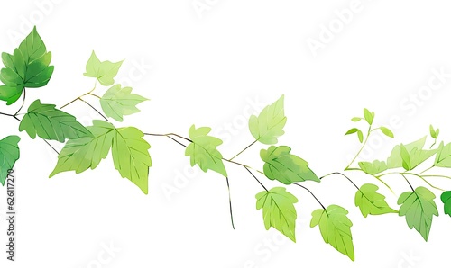 illustrartion of green leave on white background 