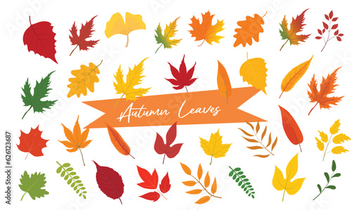 Vector set of colorful autumn leaves of different trees. Autumn leaves with different shapes and colors. Autumn illustration for postcard  books  magazine  fabric  textile. Yellow leaf  red leaf.