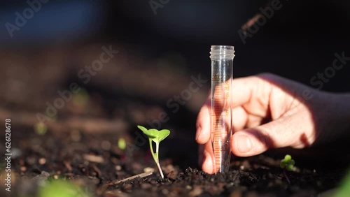 taking a soil sample for a soil test in a field. Testing carbon sequestration and plant health in Australia