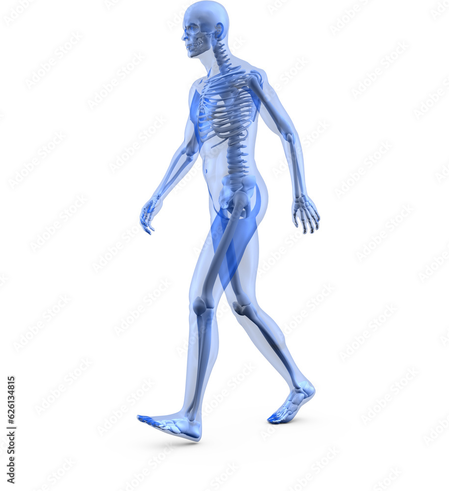 Digital png illustration of digital human walking on transparent background