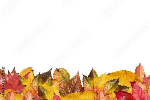 Digital png photo of fall leaves with copy space on transparent background