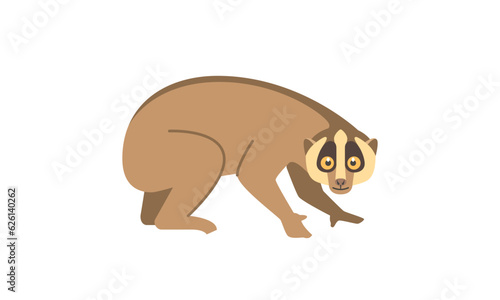 Slow Loris (Nycticebus coucang) in side angle view, flat style vector illustration isolated on white background photo