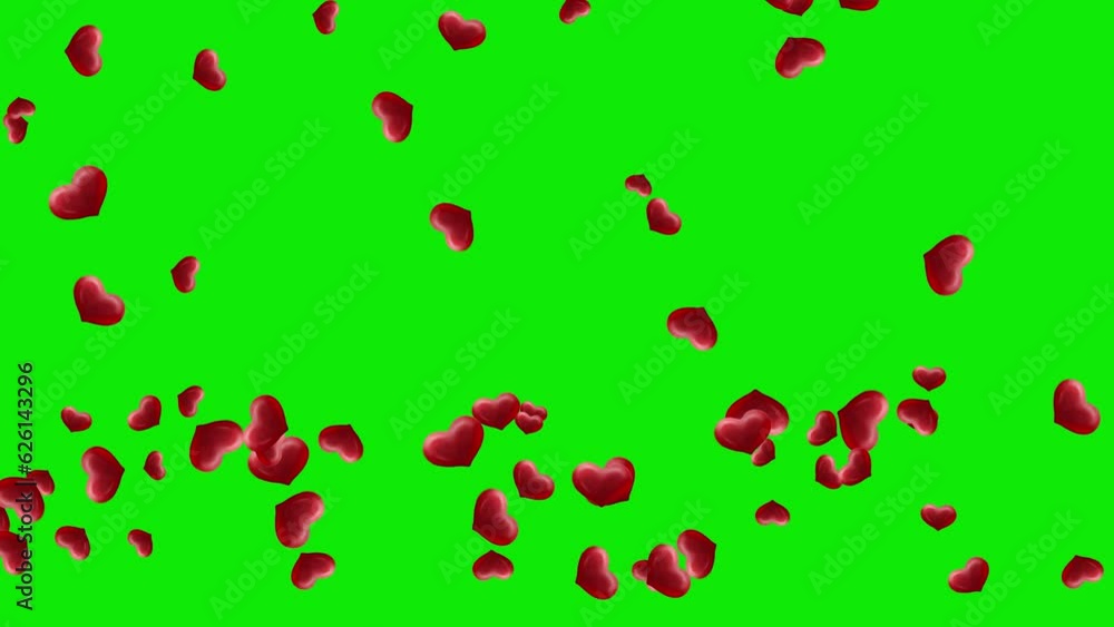 Falling red hearts motion graphics with green screen background Falling red hearts motion graphics with green screen background