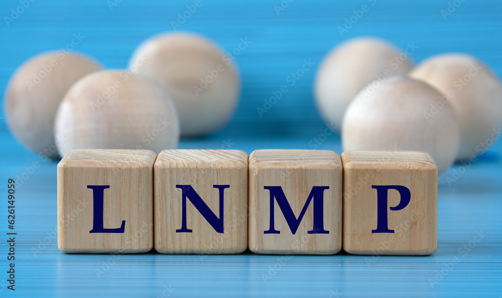 LNMP - acronym on wooden cubes on a blue background with wooden round balls LNMP - acronym on wooden cubes on a blue background with wooden round balls