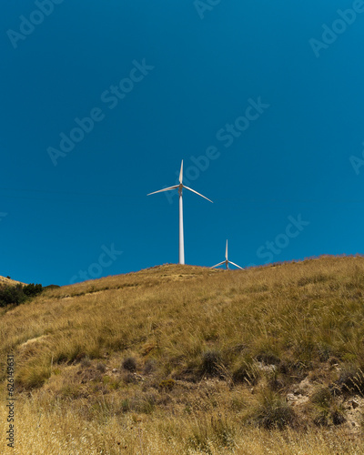 Field of wind turbines in middle of wheat field