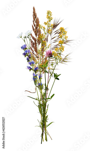Summer bouquet of wildflowers and herbs isolated on transparent background. Botanical collection  multicolored flowers..