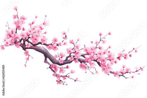pink cherry blossom branch
