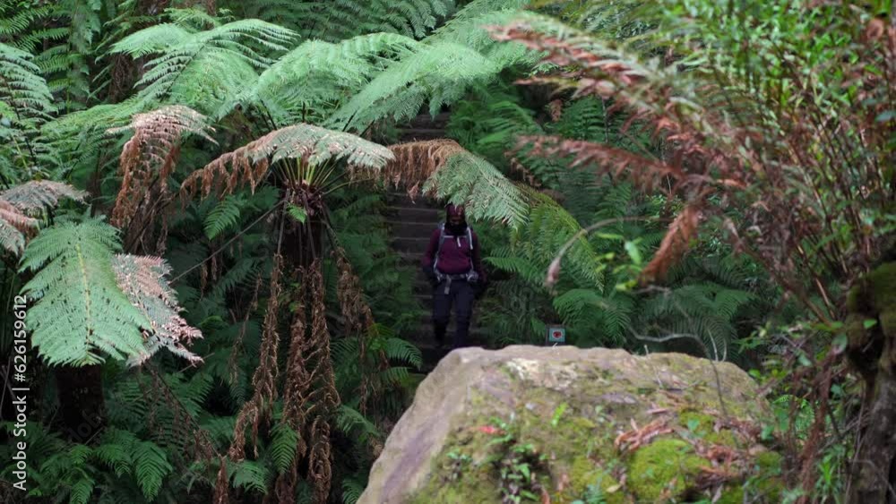 Indigenous Australian girl hiking through the Blue Mountains, NSW Australia. Indigenous Australian girl hiking through the Blue Mountains, NSW Australia.