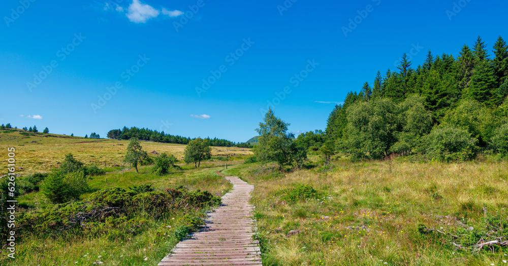 Wooden footpath through the forest- Auvergne landscape in France- travel, tourism,adventure, hike concept