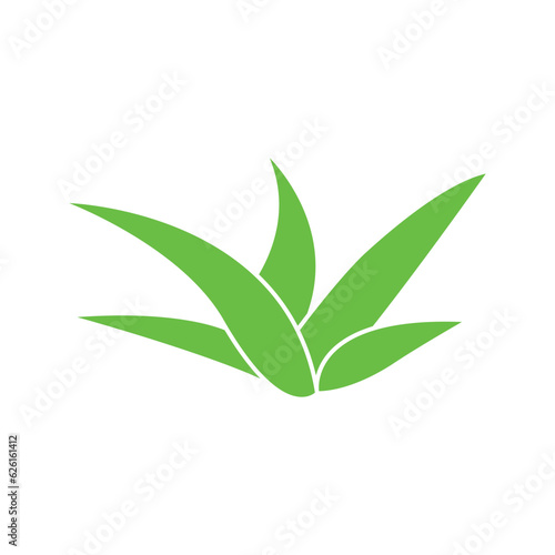 aloe vera icon vector