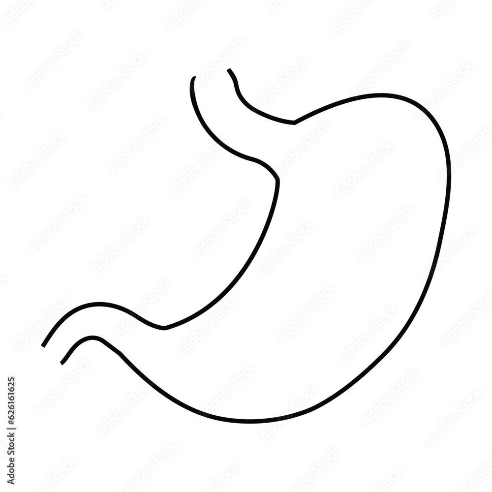 stomach icon vector