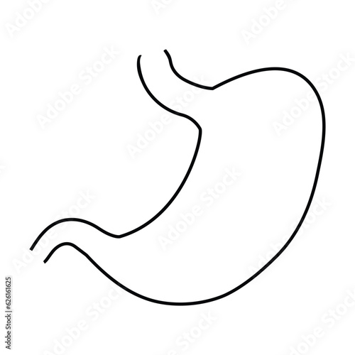 stomach icon vector