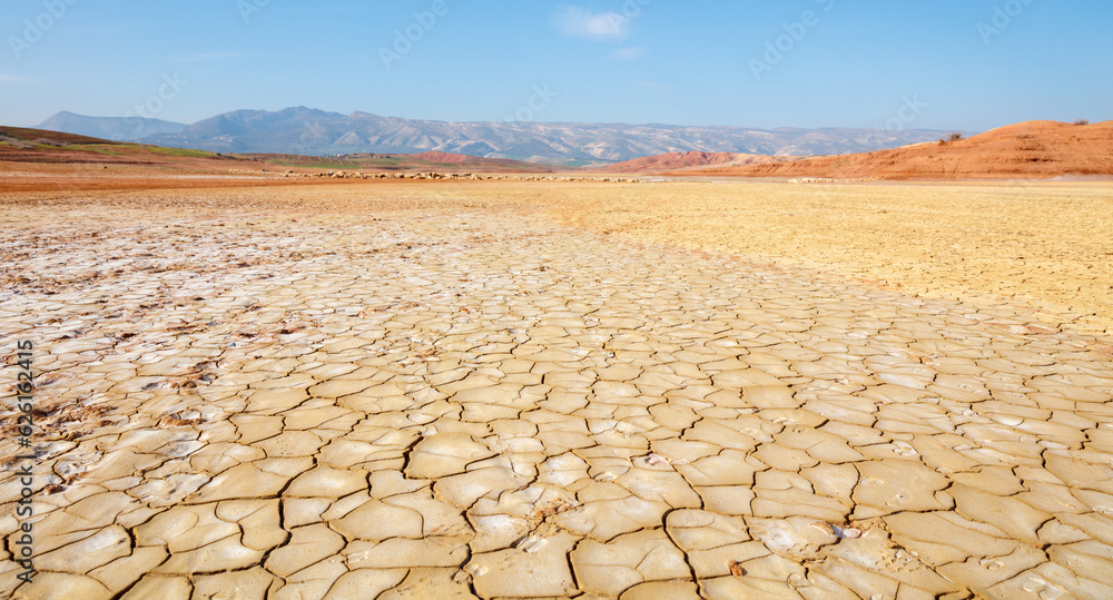 Fototapeta premium dry cracked earth-climate change, environment, infertile earth concept