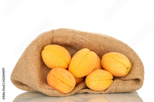 Several bright yellow apricots in a jute sack, macro, isolated on white background.