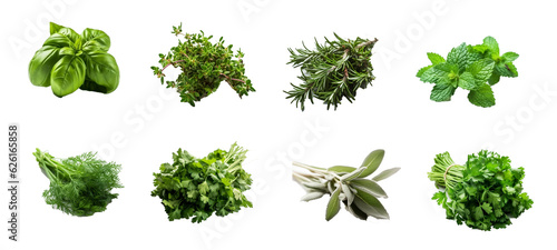 collection of green herbs and spices on transparent background