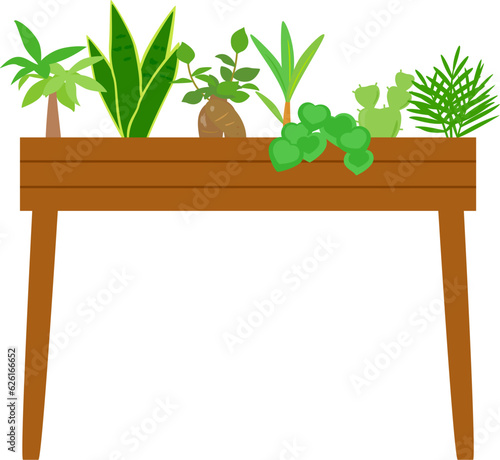 木製のラックに飾られた観葉植物