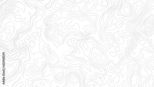 Abstract Topographic Contour Line Pattern in Black and White