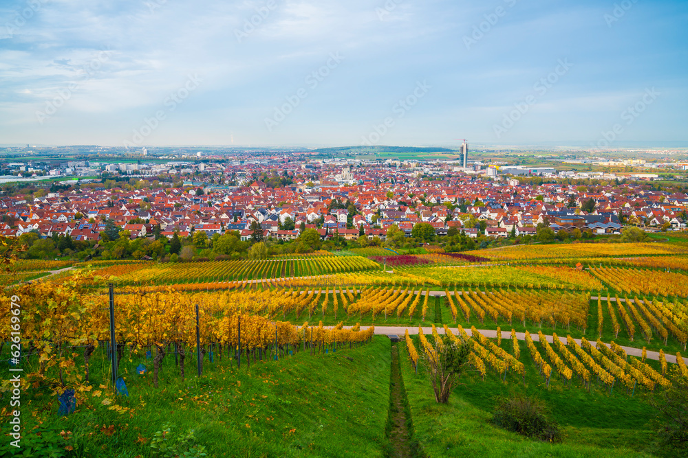 Germany, Fellbach city panorama view autumn colors above houses skyscraper tower, sunset nature landscape