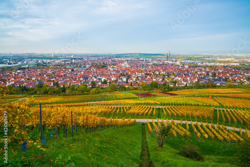 Germany, Fellbach city panorama view autumn colors above houses skyscraper tower, sunset nature landscape