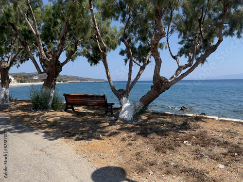 trees on the beach in Greece