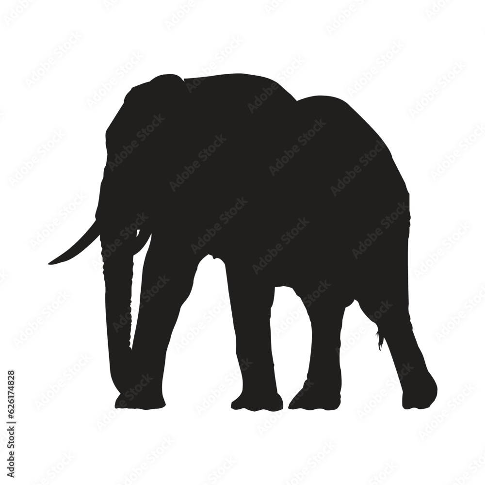 Fototapeta premium Elephant Vector Illustration