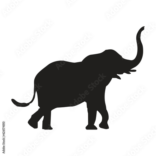 Elephant silhouettes © creative arafat