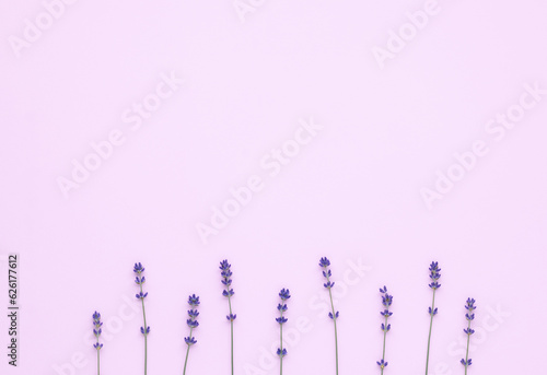 Bouquet of purple lavender arranged on pink table. Top view, flat lay mock up, copy space. Minimal background concept. Dry violet flowers, floral composition, congratulations frame, card.