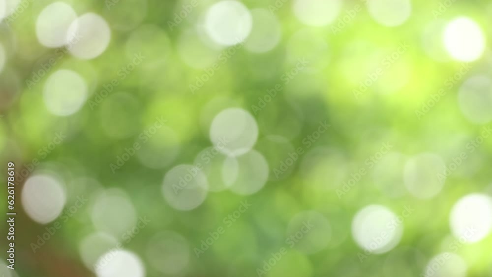 Green nature background with sparkle bokeh at the park in sunny day. Green nature background with sparkle bokeh at the park in sunny day.