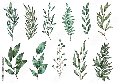 set collection of leaves with detailed colors, textures and several different colors