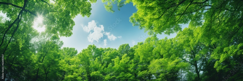 Sun shining through the trees banner and wallpaper background. Generative AI Sun shining through the trees banner and wallpaper background. Generative AI