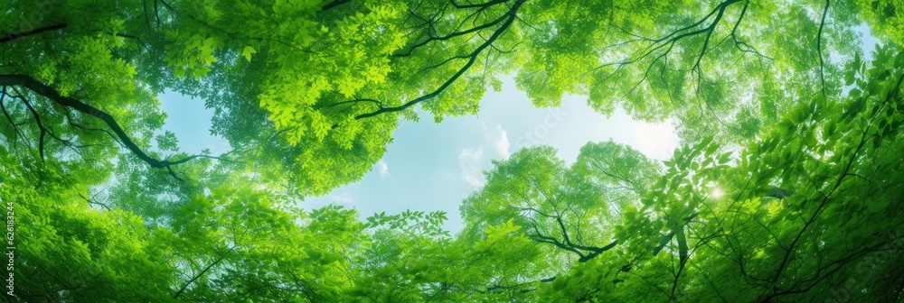 Sun shining through the trees banner and wallpaper background. Generative AI Sun shining through the trees banner and wallpaper background. Generative AI