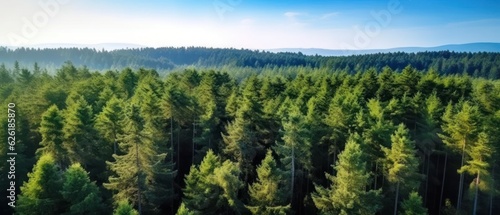 Aerial top view of green trees in forest. Pine forest of lush trees. Generative AI © Viktor