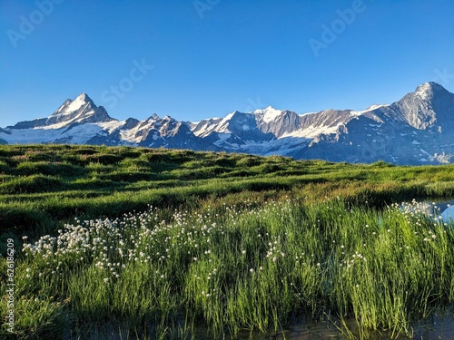 Mountain lake in the bernese oberland. Bachsee near Grindelwald and Interlaken. Beautiful sunrise mood. Bachsee. High quality photo photo