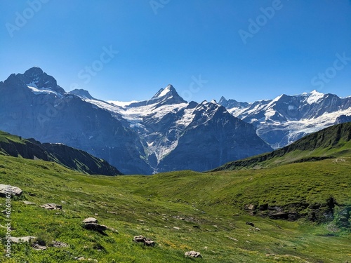 Nice view above grindelwald towards fischerhhorn schreckhorn and eiger. Hiking from First to Faulhron. High quality photo