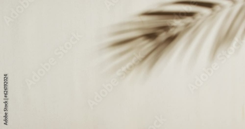 Animation of shadow of palm tree leaf moving with copy space over white background