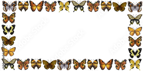 Banner frame beautiful butterflies, yellow orange. Swallowtail. Hand-drawn watercolor illustration isolated on white background. For card, poster, backdrop