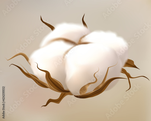Realistic cotton flower. Fluffy plant with dried soft balls. Organic eco products symbol. Decor elements for packaging and natural textile, wedding cards. Vector 3d isolated illustration