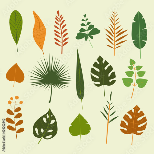 Set of tropical plants vector. Flat and colorful design