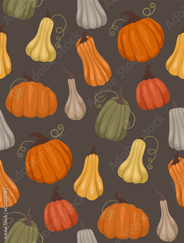 Seamless vector rural pattern with various pumpkins on a dark gray background. Graden backdrop. Farm texture with vegetables