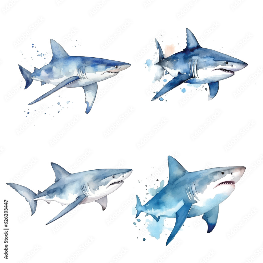 Shark watercolor paint collection Shark watercolor paint collection