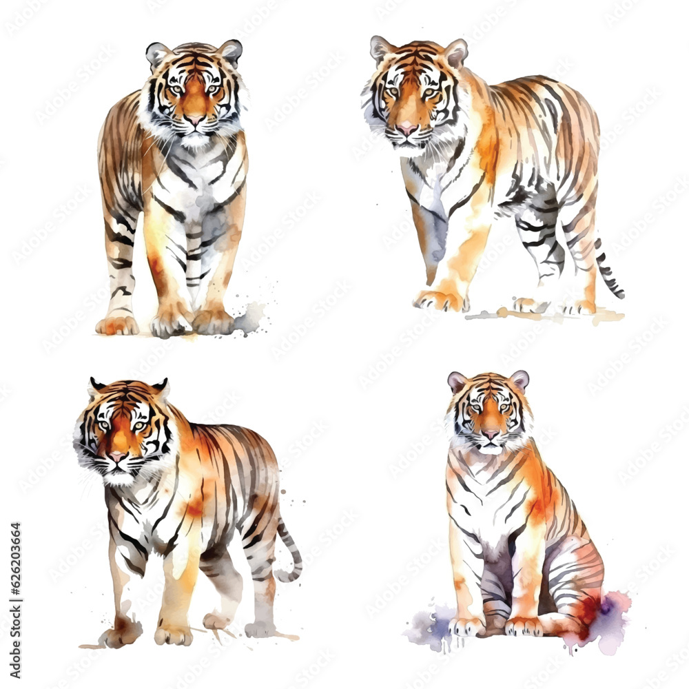 Obraz premium Tiger watercolor paint collection